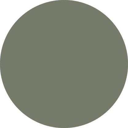 Chalk Furniture Paint porcelain finish in Provincial Green