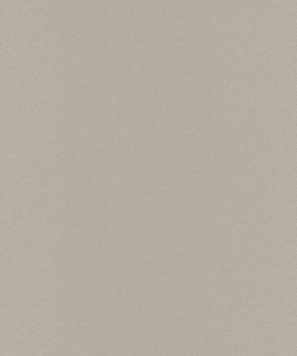 ASPERIA Wallpaper Pattern No JF1214