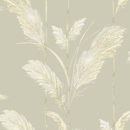 BRAND MCKENZIE Wallpaper Pattern No BMTD001/10C - Pampas Grass