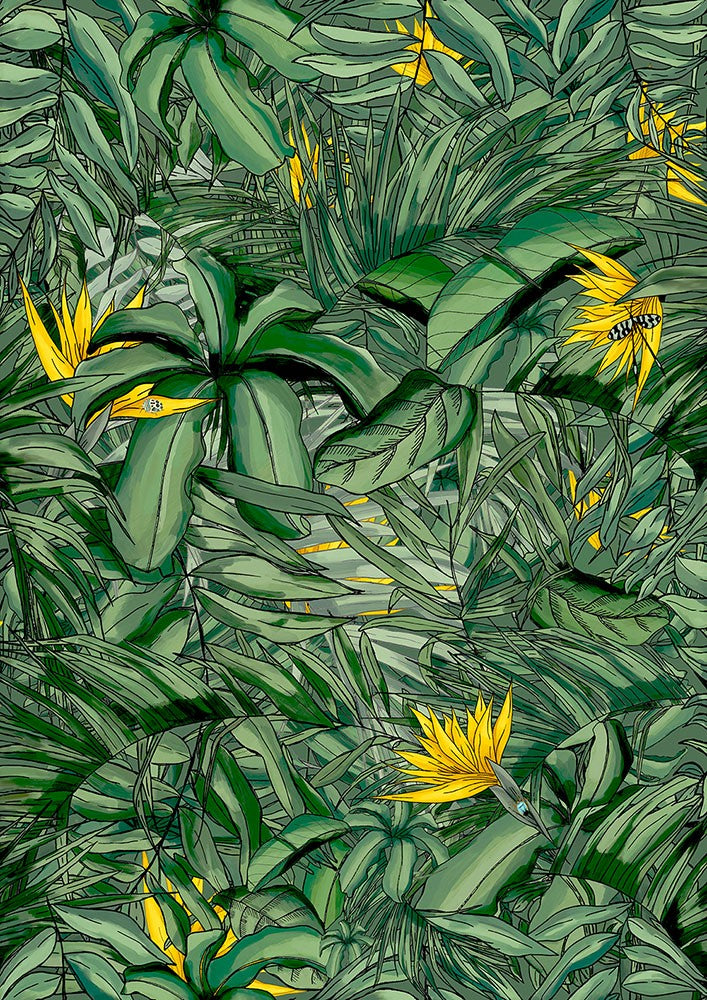 BRAND MCKENZIE Wallpaper Pattern No BMTD001/15B - Tropical Forest
