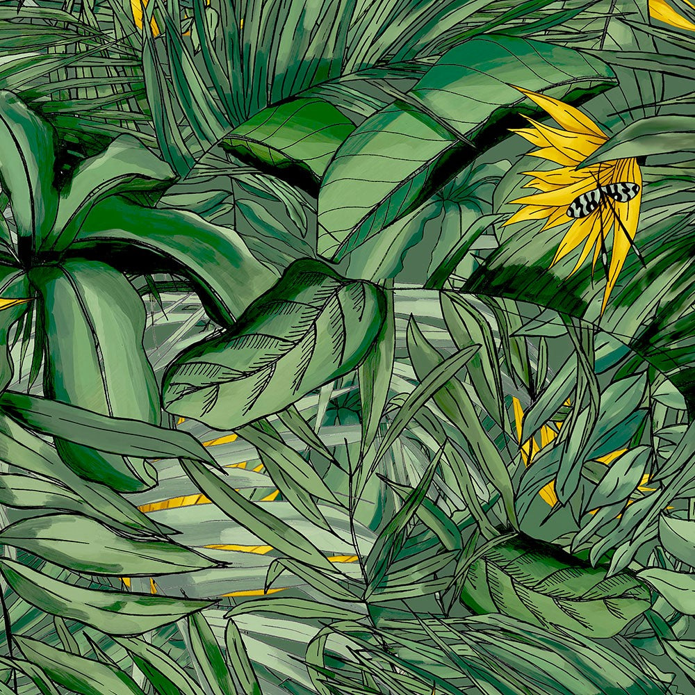 BRAND MCKENZIE Wallpaper Pattern No BMTD001/15B - Tropical Forest
